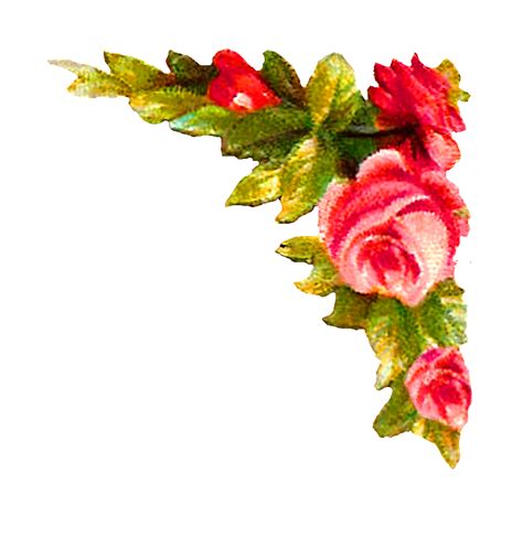 Antique Images Digital Rose Corner Design Printable Flower Clip Art