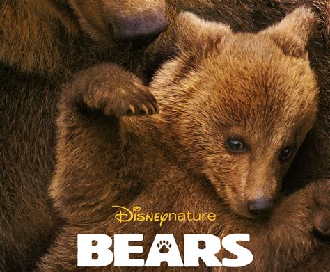 You're receiving limited access to d23.com. Disneynature Bears 9 - Reel Life With Jane