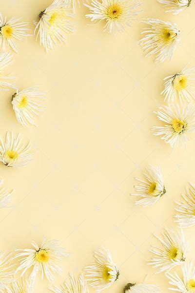 Discover 153 ios icon packs and download them today! This image contains white florals on a soft yellow ...