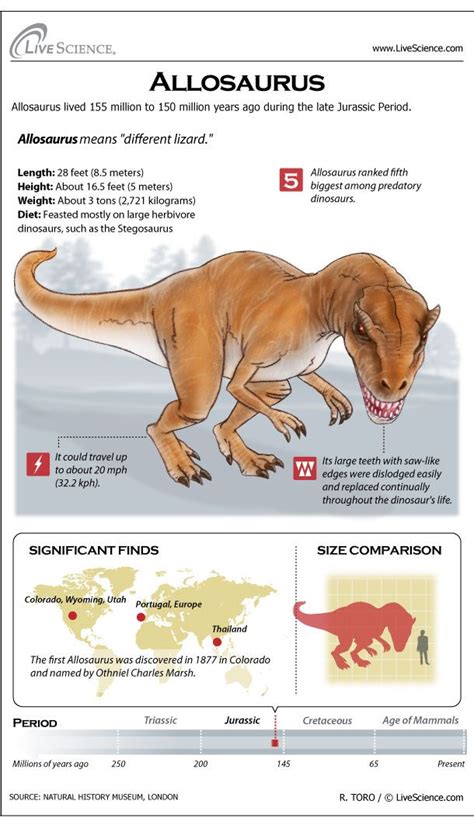 Learn About The Huge Meat Eating Dinosaur Allosaurus Dinosaur Facts Dinosaur Theme Dinosaur