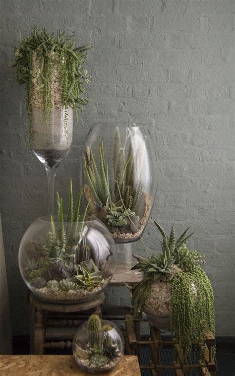 Cacti grow from march to september in the northern hemisphere, so that is when they need if you're in the southern hemisphere, remember to water your cactus more often from september to around march instead. 46+ Great Air Plant Terrariums Ideas for Your Stunning ...