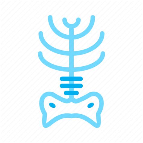 Ray, x, x ray icon