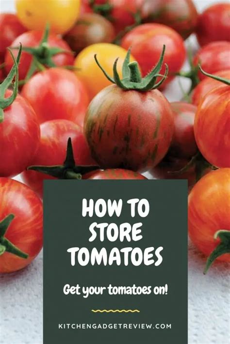 How To Store Tomatoes Should Tomatoes Be Refrigerated