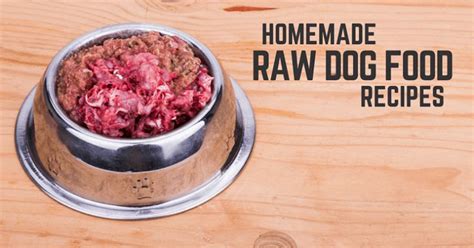 Diy Homemade Raw Dog Food Recipes Raw Dog Food Recipes