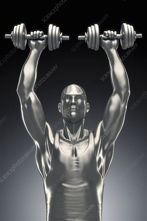 Exercise Workout Artwork Stock Image C0205530 Science Photo Library