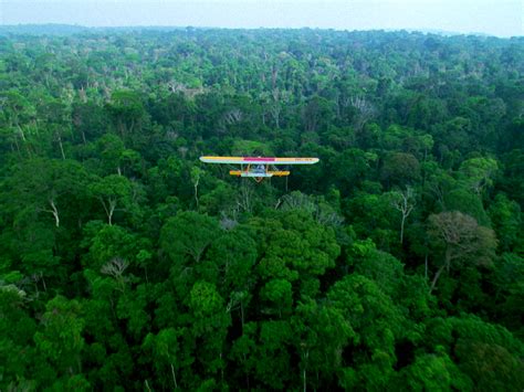 Finding entire groups of animals that complete their entire lives high in the canopy. SC Johnson : Launches Acre-for-Acre Match to Protect ...
