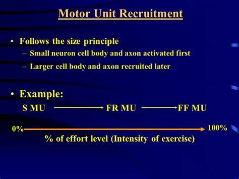 Skeletal Muscle Physiology Ppt Video Online Download