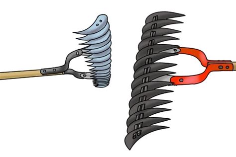 Bow rakes and dethatching rakes are good options for removing the dead grass layer that accumulates just above the soil in a lawn. What are the different types of rake?