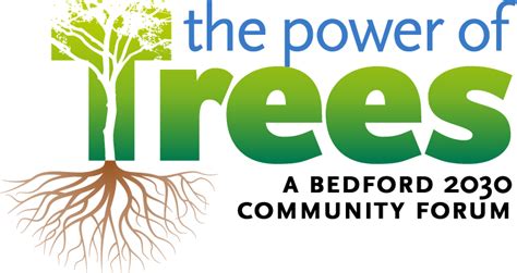 The Power Of Trees Sustainable Putnam