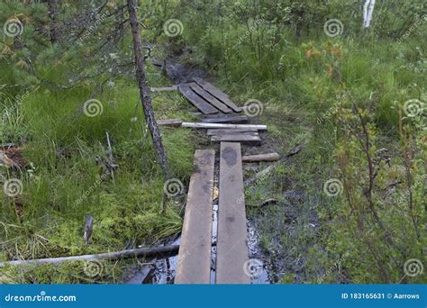 Old Small Bridge Through A River In A Forest Stock Image Image Of