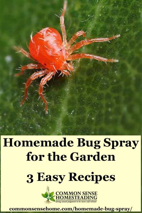 Homemade Bug Spray For The Garden 3 Easy Recipes Total