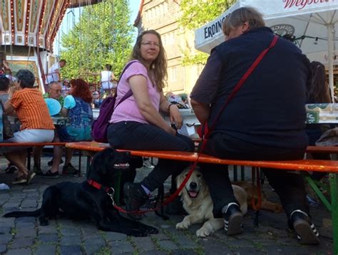 This opens in a new window. PTBS-Hunde - I-L-e-Servicehunde e. V.