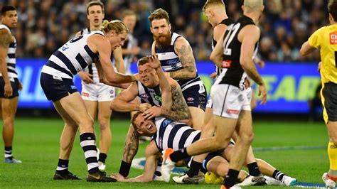 Afl Finals Live Updates Geelong Cats Brisbane One News Page Hot Sex Picture