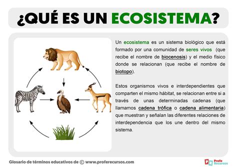 Qué es un Ecosistema Concepto y Definición de Ecosistema