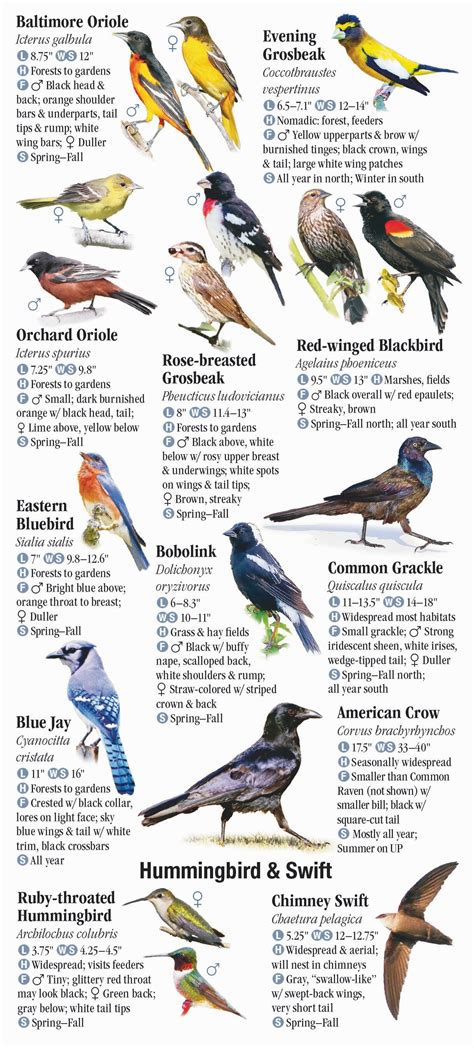 Birds Of Michigan Quick Reference Publishing Retail