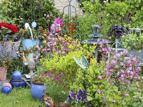 70 mehrjährige beetpflanzen für jeden. Sommerblumen.jpg | Garten