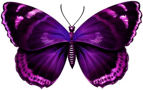 Purple Butterfly Png Transparent Clipart Full Size Clipart 857845