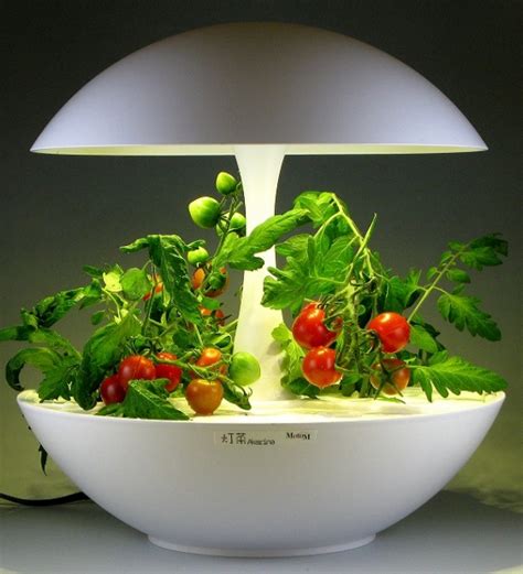 Click and grow claims that herbs grown in their gardens contain up to 600% more vitamins than store bought herbs. Pin by Akarina UK on Hydroponic Herbs - Growing with ...