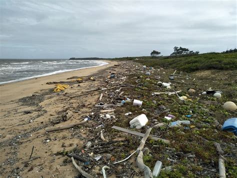 Aerial Survey Shows Devastating Plastic Pollution Along Cape York