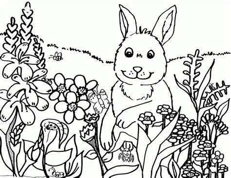 Top 20 spring coloring pages: Coloring Pages Free For Kids Spring Time - Coloring Home