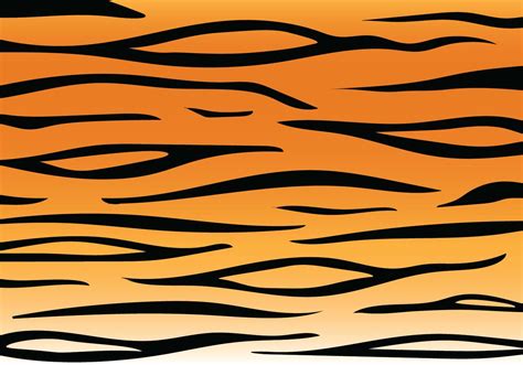 Tiger Stripe Pattern 183347 Vector Art At Vecteezy