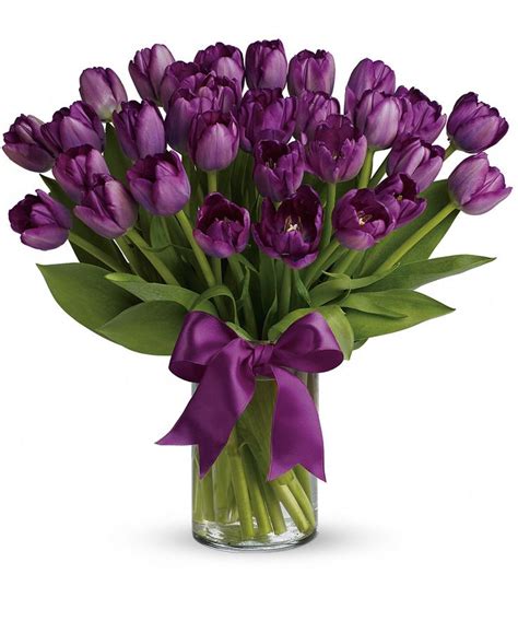 Passionate Purple Tulips Premium Tulips Arrangement Purple Tulips