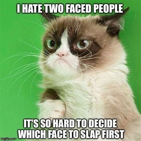 Grumpy Cat Imgflip