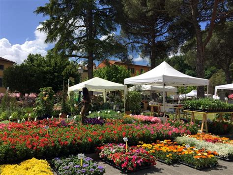 Vicopisano, every year in september hosts the festa medievale. Castello in Fiore a Vicopisano nel 2018 Eventi a Pisa