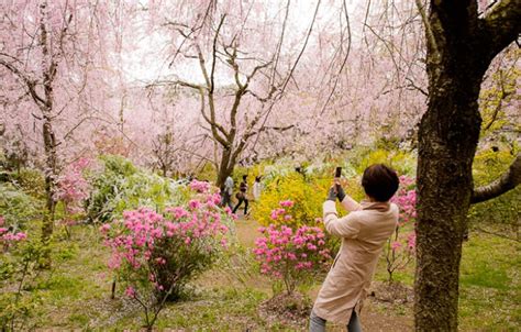 Jeffrey Friedls Blog Kyotos Amazing Haradanien Garden Part 3