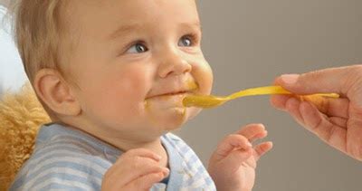 Setelah usia bayi di atas usia 6 bulan, ia perlu diberikan makanan bayi atau mendapatkan asi dan mpasi secara bersamaan. Resep Makanan Bayi Usia 6 - 12 Bulan | Resep Masakan Terbaru