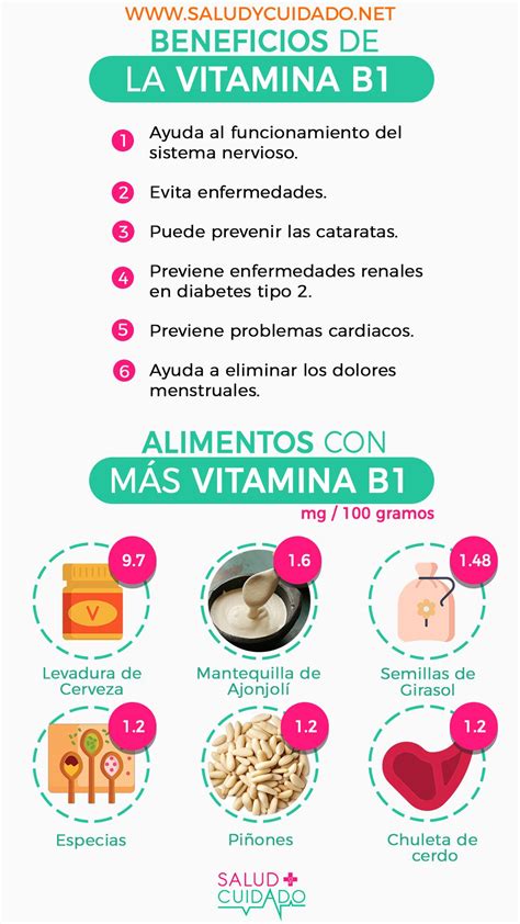 Conoce Todo Sobre La Vitamina B1 Beneficios Y Funciones Alimentos MÁs