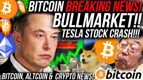 Not knowing about the history of stock market bubbles. he. BREAKING NEWS: BITCOIN BULLMARKET IS BACK SOON!!! TESLA ...