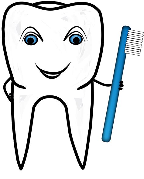 Smiling Tooth With Toothbrush Free Stock Photo Public Domain Pictures