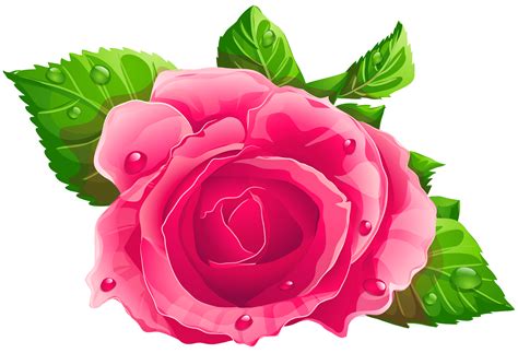 Pin By Narah Kimberly On Cute Pink Rose Png Rose Clipart Rose