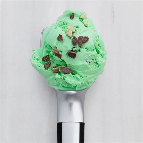 It's the perfect cake for those who don't have a huge sweet tooth but still want to enjoy a nice dessert. Speedy Ice Cream Cake - Mint Chip Ice Cream Bars | Keto Pint - KetoPint / Transfer into cake ...