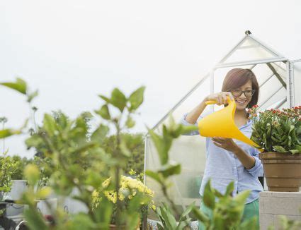 Milk spray for powder mildew. Using Milk for Powdery Mildew Control