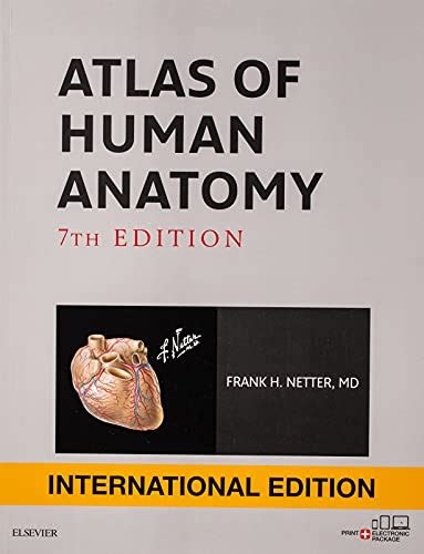 Atlas Of Human Anatomy International Edition Netter Basic Science By
