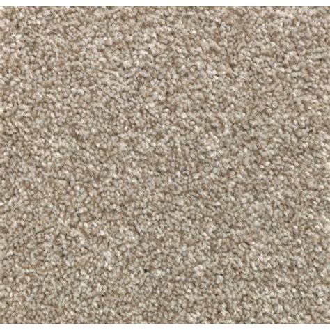 Stainmaster Essentials Durable Step Ii Carrington Beige Textured Carpet