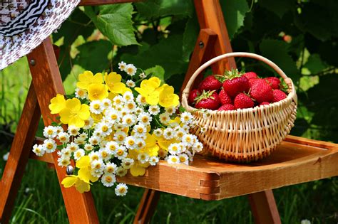 Wallpaper 3840x2559 Px Basket Flowers Food Fruits Garden Spring