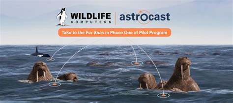 Astrocast is the most advanced global nanosatellite iot network to tackle challenges in industries such as agriculture & livestock, oil, gas & mining, . Astrocast and Wildlife Computers: A Match Made in Space ...