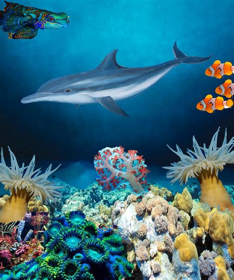 Jerdee's Art Classes: Digital Art | Underwater Ocean Scene