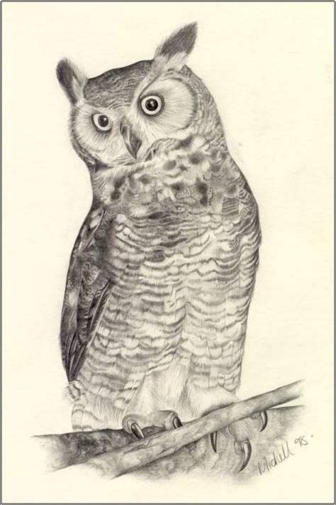 Owl Drawing | 3D Drawing