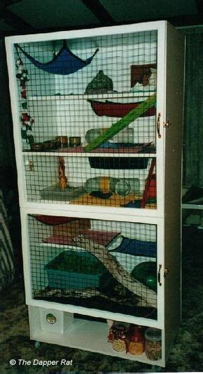 I Should Really Build This Cage For My Rats Rat Cage Diy Pet Rat