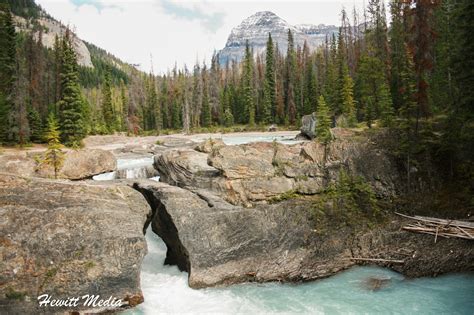 Natural Bridge A Natural Bridge Over The Kicking Horse River In Yoho