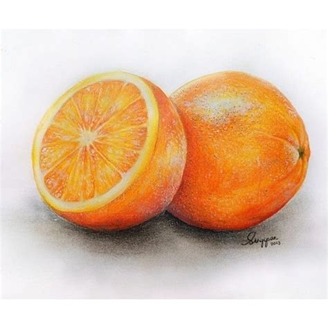 Orange Art Pencil Drawings Fruit Art Drawings Color Pencil Drawing