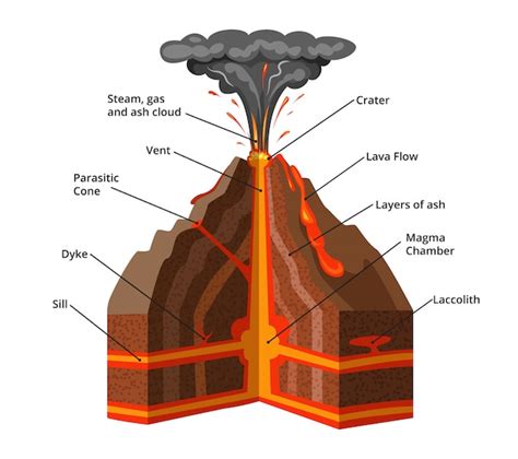 Volcano Anatomy Diagram Premium Vector