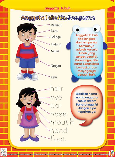 It is very precious to learn bahasa indonesia from my country, japan, with flexible time. Anggota Tubuhku Sempurna | Ebook Anak