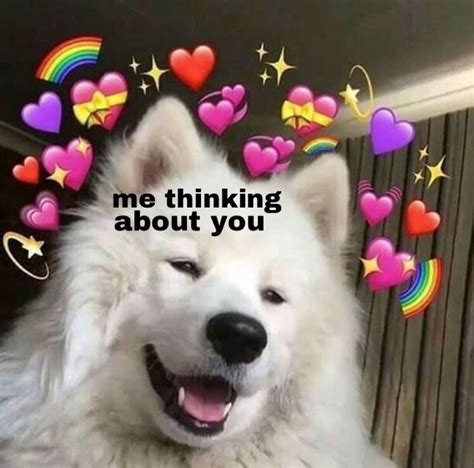 Pin de Bambi peaches en ᴍᴇᴍᴇ's ☹ | Memes lindos, Memes amor See more ideas about cute love memes, cute memes, love memes.