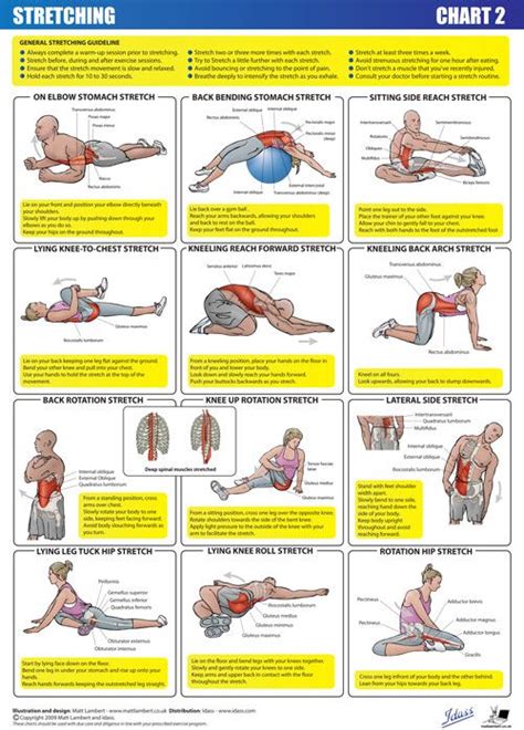 During a minor cyst removal from my chest many years ago, a potent family doctors are particularly uninformed about the causes of musculoskeletal aches and pains33 — it but charts tend to put the focus on the wrong thing, and people need principles way more than. 1000+ images about Sciatica & Groin Relief and Pain Patterns on Pinterest | Lower backs, Back ...
