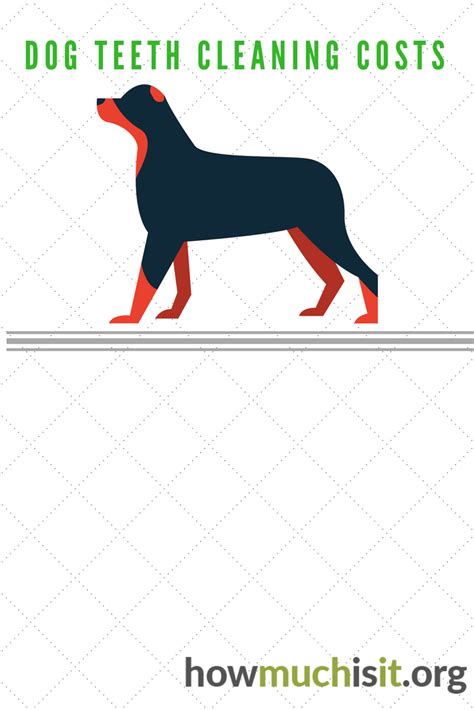 Check spelling or type a new query. How Much Does Dog Teeth Cleaning Cost? | Dog teeth ...